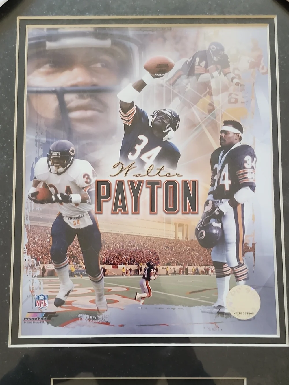 Walter Payton Framed Sports Wall Decor - Official NFL photo